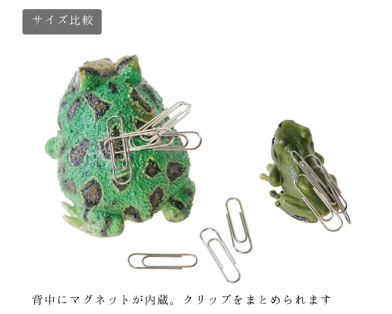 Amazon | リアル ツノガエル カエル 蛙 オブジェ 置物 REPTILES MAG